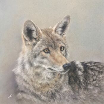 Disegno intitolato "Young wolf" da Irene_art, Opera d'arte originale, Pastello