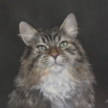 Drawing titled "Chat mignon" by Irene_art, Original Artwork, Pastel