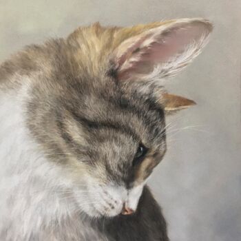 Disegno intitolato "Cat portrait" da Irene_art, Opera d'arte originale, Pastello