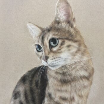 Desenho intitulada "Bengal cat" por Irene_art, Obras de arte originais, Pastel