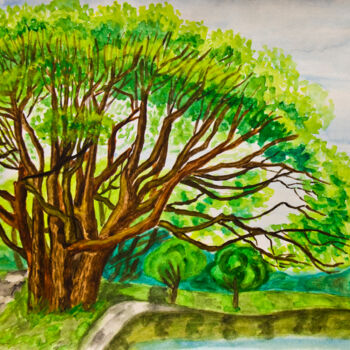 Painting titled "Willow tree in summ…" by Irina Afonskaya, Original Artwork, Watercolor