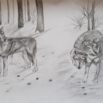 Рисунок под названием "Собаки (лайки-хаски)" - Irina Androsova, Подлинное произведение искусства, Графит