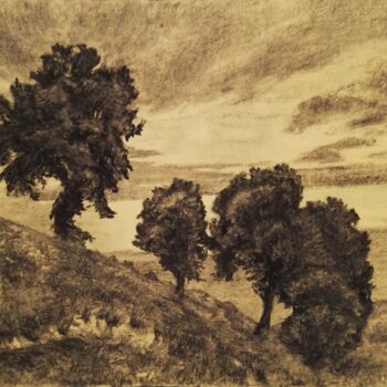 Drawing titled "Le crépuscule" by Irina Cavat, Original Artwork, Charcoal Mounted on Cardboard