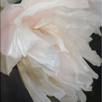 Fotografie getiteld "White tree peony" door Irina Dotter, Origineel Kunstwerk, Gemanipuleerde fotografie Gemonteerd op Frame…
