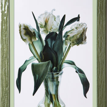 Photography titled "White tulips in a g…" by Irina Dotter, Original Artwork, Manipulated Photography Mounted on Cardboard
