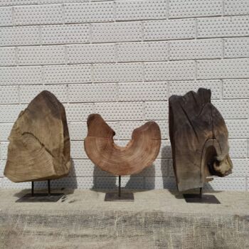 Design intitolato "Driftwood Art" da Irina Kogut, Opera d'arte originale, Tavola arte