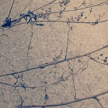Картина под названием "Веточки как трещины…" - Irina Kromm, Подлинное произведение искусства, Цифровая фотография Установлен…