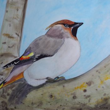 Peinture intitulée "Bullfinch. Watercol…" par Irina Malkmus, Œuvre d'art originale