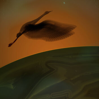 Digital Arts titled "Alone crane over oc…" by Irina Ryzkova (Ira Go), Original Artwork, 2D Digital Work