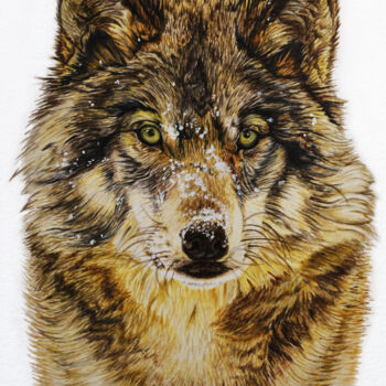 Pintura intitulada "Wolf Dog Husky Coyo…" por Irinjoyart, Obras de arte originais, Aquarela