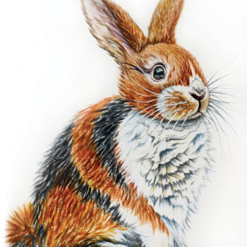 Painting titled "Rabbit bunny animal…" by Irinjoyart, Original Artwork, Watercolor