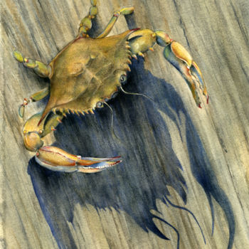 Painting titled "crabzilla-tif.jpg" by Cathie Abell Nelson, Original Artwork, Watercolor