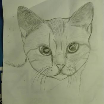 Drawing titled "disegno gatto" by Iryna De Simone, Original Artwork