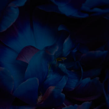 Photography titled "Deep blue" by Iryna Domashenko, Original Artwork, Digital Photography