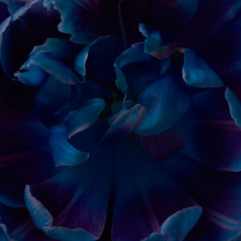 Photographie intitulée "Blue colour" par Iryna Domashenko, Œuvre d'art originale, Photographie numérique