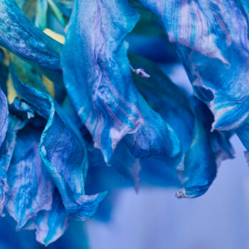 Photography titled "aqua-lilac" by Iryna Domashenko, Original Artwork, Non Manipulated Photography