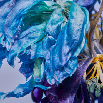 Fotografía titulada "aqua-purple" por Iryna Domashenko, Obra de arte original, Fotografía digital