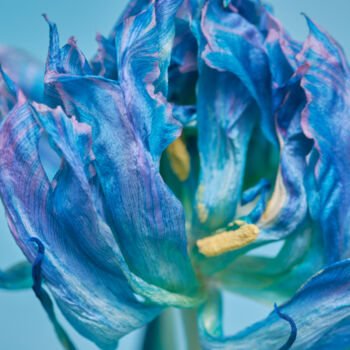 Fotografie mit dem Titel "aquamarine" von Iryna Domashenko, Original-Kunstwerk, Digitale Fotografie