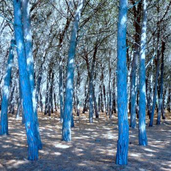 Fotografia intitolato "Il bosco" da Isabell Von Piotrowski, Opera d'arte originale