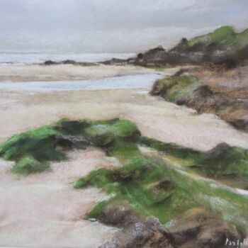 Painting titled "Les Algues Plage du…" by Isabelle Douzamy, Original Artwork, Pastel