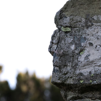 Photographie intitulée "Maestosa sintinella" par Isabelle Pautrot, Œuvre d'art originale