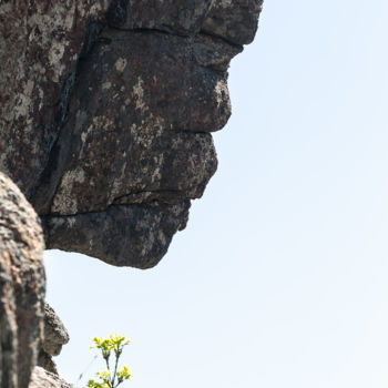 Fotografía titulada "Africaine Corse imm…" por Isabelle Pautrot, Obra de arte original, Fotografía digital