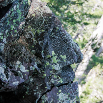 Fotografia zatytułowany „Le grand esprit” autorstwa Isabelle Pautrot, Oryginalna praca