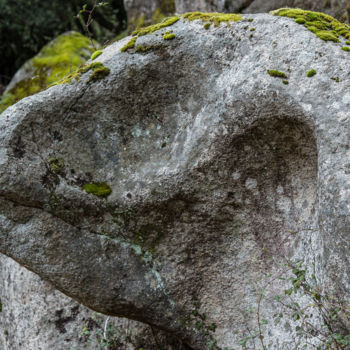 Fotografia intitolato "L'immortel" da Isabelle Pautrot, Opera d'arte originale