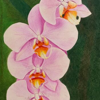 Drawing titled "branche d'orchidées" by Isabelle Tysiac, Original Artwork, Pencil