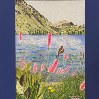 Рисунок под названием "Lac de Vens" - Isabelle Tysiac, Подлинное произведение искусства, Карандаш
