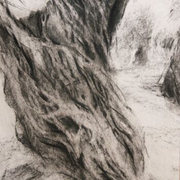 Painting titled "Elaiodendro" by Isabelle Vialle, Original Artwork, Charcoal