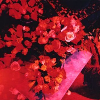 Fotografia zatytułowany „Marcus & Roses” autorstwa Isabelle Deflandre, Oryginalna praca