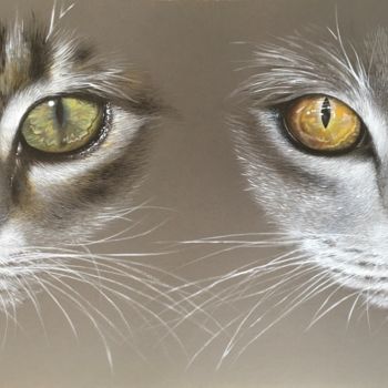 Schilderij getiteld "Double cat’s eyes" door Isabelle Molinard, Origineel Kunstwerk, Acryl