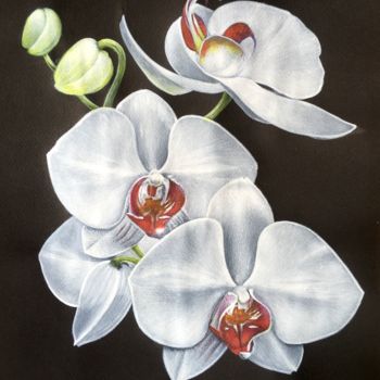 Painting titled "Orchidées" by Isabelle Molinard, Original Artwork, Acrylic