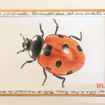 Painting titled "Coccinelle" by Isabelle Molinard, Original Artwork, Watercolor
