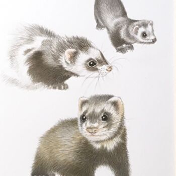 Painting titled "Le furet" by Isabelle Molinard, Original Artwork, Watercolor