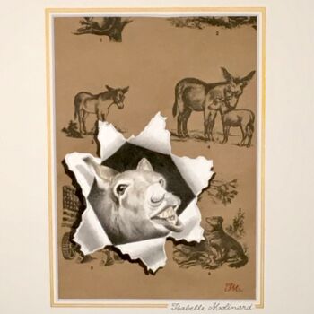 제목이 "Un âne"인 미술작품 Isabelle Molinard로, 원작, 수채화