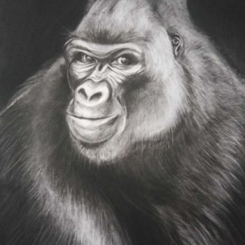 Drawing titled "Gorille au Fusain" by Virginie Isfaoui, Original Artwork, Charcoal