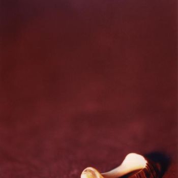 Fotografia intitolato "Lo rojo del caracol" da Israel Valdes Huerta, Opera d'arte originale