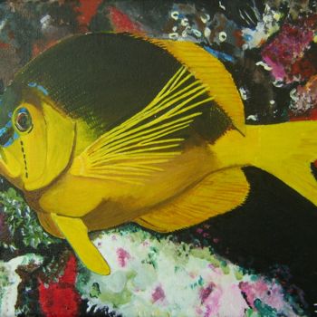 Schilderij getiteld "Shy hamlet fish" door Ita Mercera, Origineel Kunstwerk, Acryl