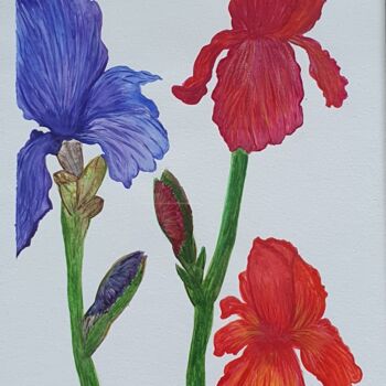 Ζωγραφική με τίτλο "Irises" από Iuliana Apostol, Αυθεντικά έργα τέχνης, Ακουαρέλα