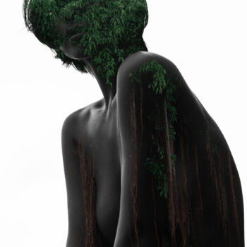 Fotografia intitolato "Hairy Tree" da Ivan Cheremisin, Opera d'arte originale, Fotografia digitale