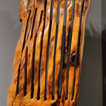 제목이 "CERIDO"인 조형물 Ivan Fabani로, 원작, 나무