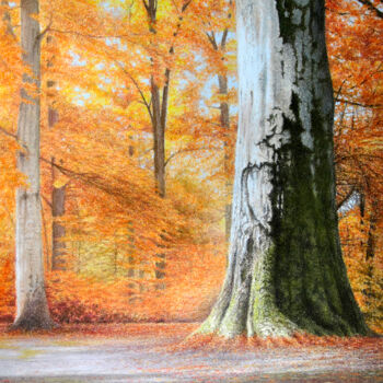 Painting titled "Autumn sunbeams in…" by Ivan Jones, Original Artwork, Pastel Mounted on Cardboard