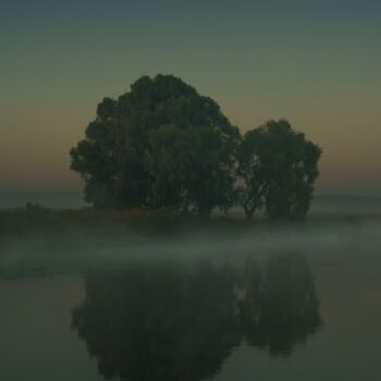 「Lonely tree by the…」というタイトルの写真撮影 Ivan Ponomarevskyによって, オリジナルのアートワーク, デジタル