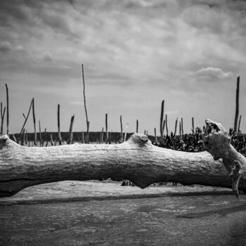 "The lake is dead" başlıklı Fotoğraf Ivan Ponomarevsky tarafından, Orijinal sanat, Dijital Fotoğrafçılık
