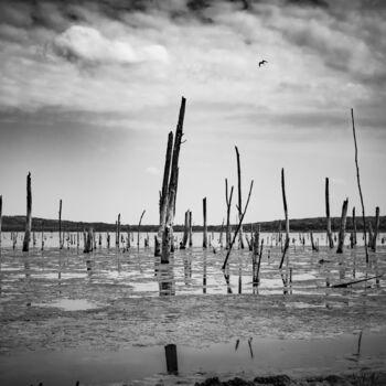 Fotografie getiteld "The lake is dead 1/5" door Ivan Ponomarevsky, Origineel Kunstwerk, Digitale fotografie