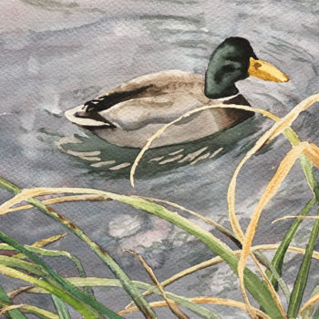 Painting titled "Canard près de la r…" by Ivonick, Original Artwork, Watercolor