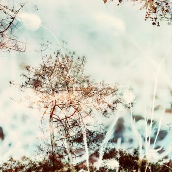 Photography titled "Instant en sous-bois" by Ivory Lp - Studio, Original Artwork, Manipulated Photography