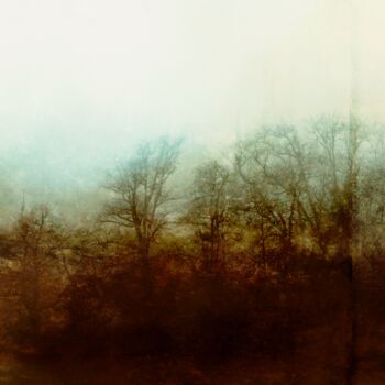 摄影 标题为“Matin Brouillard -…” 由Ivory Lp - Studio, 原创艺术品, 数码摄影